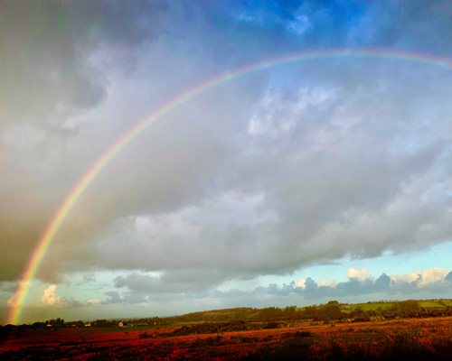 Autumn on Bodmin Moor