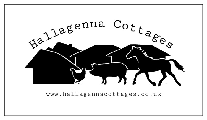 Holiday Cottages on Bodmin Moor -Hallagenna Cottages