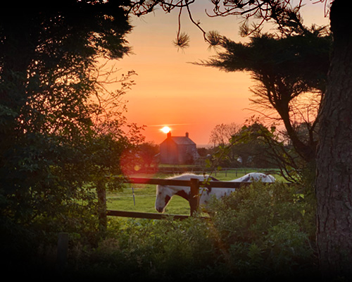 Summer  Evenings on  Bodmin Moor