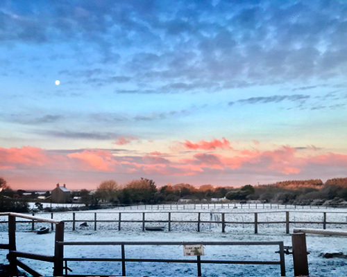 Winter  Evenings on  Bodmin Moor