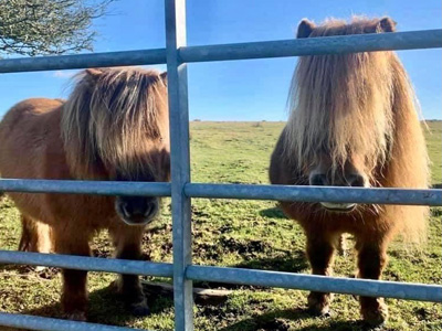  Our gate to The Moor